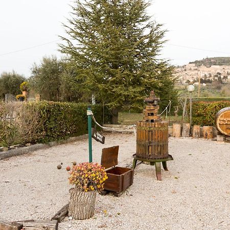 Panorama D'Incanto Assisi Dış mekan fotoğraf